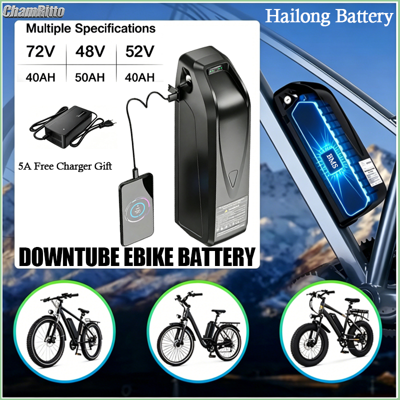Elektrische fietsbatterij Hail - Ebike Battery 48V 20Ah Hailong recensie en prijs
